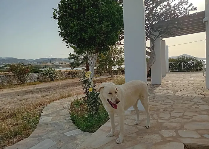 Ione Seaside Santa Maria (Paros)
